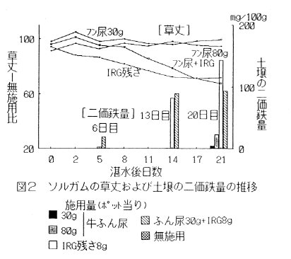 図2 ソルガムの草丈および土壌の二価鉄量の推移