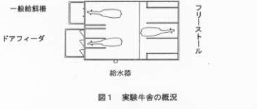 図1 実験牛舎の概況