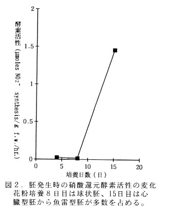 図2 胚発生時の硝酸還元酵素活性の変化