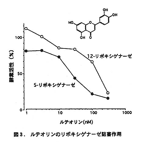 図3 ルテオリンのリポキシゲナーゼ阻害作用