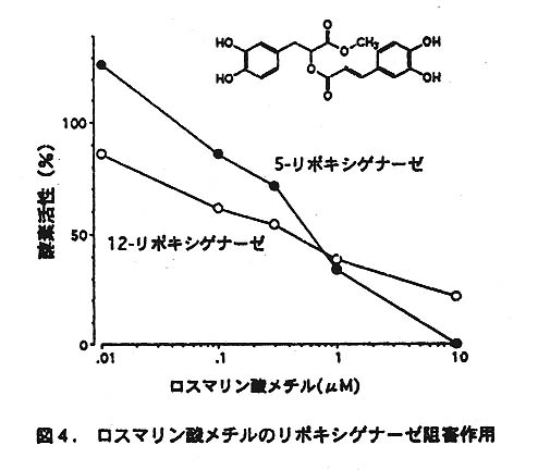 図4 ロスマリン酸メチルのリポキシゲナーゼ阻害作用