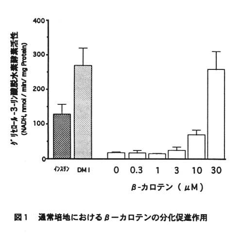 図1 通常培地におけるβ-カロテンの分化促進作用
