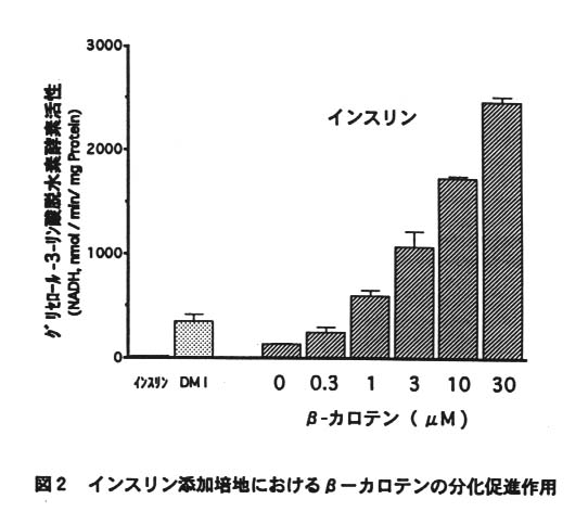 図2 インスリン添加培地におけるβ-カロテンの分化促進作用