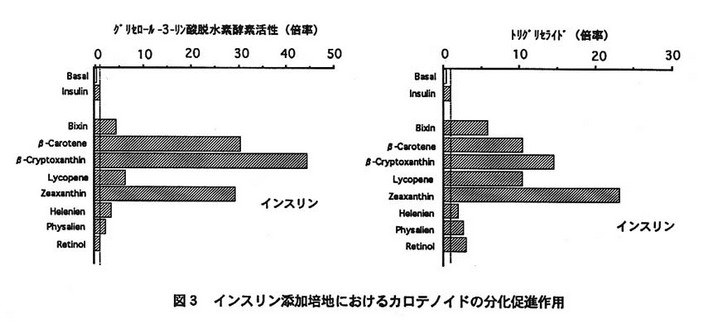 図3 インスリン添加培地におけるカロテノイドの分化促進作用