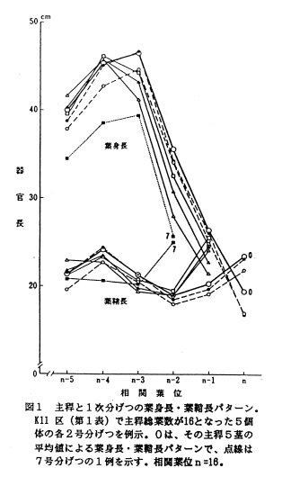 図1.主稈と1次分げつの葉身長・葉鞘長パターン