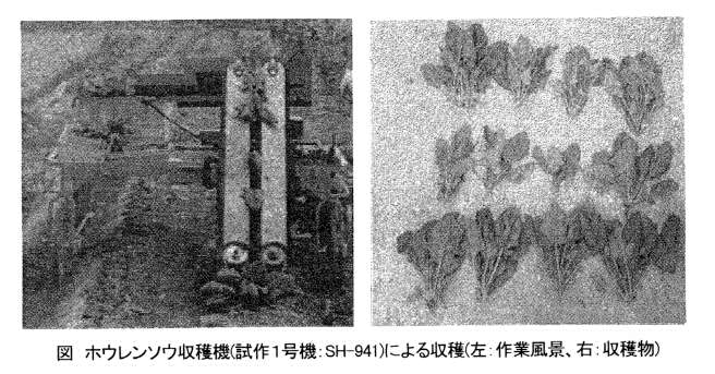 図.ホウレンソウ収穫機(試作1号機:SH-941)による収穫(左:作業風景、右:収穫物)