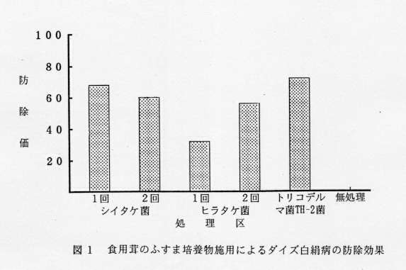 図1.食用茸のふすま培養物施用によるダイズ白絹病の防除効果