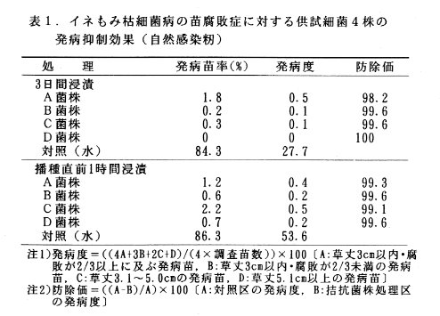 表1.イネもみ枯細菌病の苗腐敗症に対する供試細菌4株の発病抑制効果