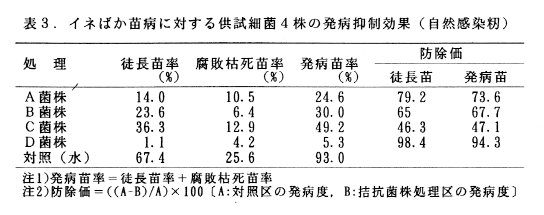 表3.イネばか苗病に対する供試細菌4株の発病抑制効果