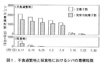 図1.不食過繁地と採食地におけるシバの着穂粒数