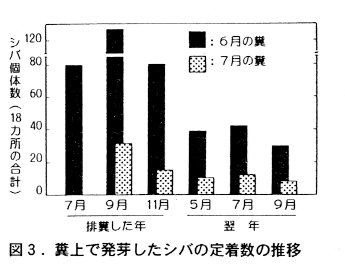 図3.糞上で発芽したシバの定着数の推移