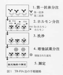 図1.TR-FIA法の手順概略