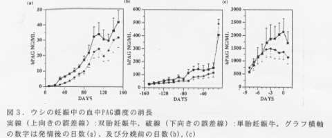 図3.ウシの妊娠中の血中PAG濃度の消長