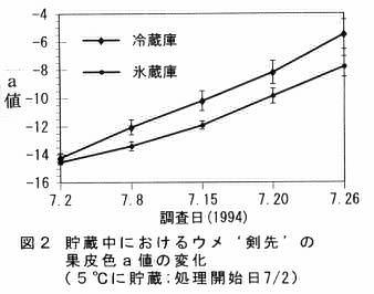 図2 貯蔵中におけるウメ’剣先’の果皮色a値の変化