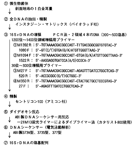 図1 乳酸菌の16rDNA分析法の概略