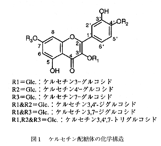 図1 ケルセチン配糖体の化学構造