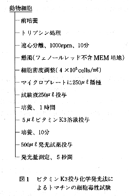 図1 ビタミンK3投与化学発光法によるトマチンの細胞毒性試験