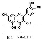 図1 ケルセチン