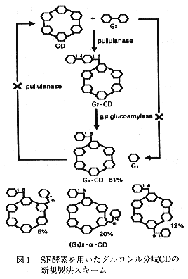 図1 SF酵素を用いたグルコシル分岐CDの新規製法スキーム