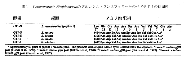 表1 LeuconostocとStreptococcusのグルコシルトランスフェラーゼのペプチドIの相同性