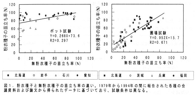図1 粉衣種子と無粉衣種子の苗立ち率の違い