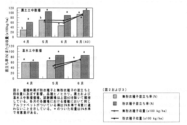 図2 播種時期が粉衣種子と無粉衣種子の苗立ちとみも収量に及ぼす影響