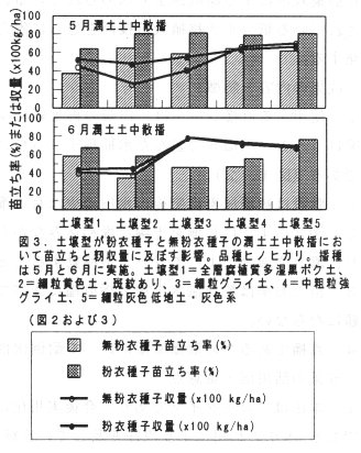 図3 土壌型が粉衣種子と無粉衣種子の潤土土中散播において苗立ちと籾収量に及ぼす影響
