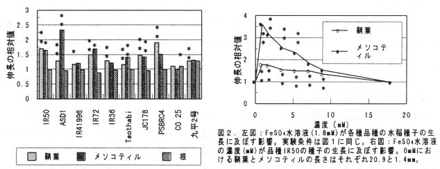 図2 左図:FeSO4水溶液が各種品種の水稲種子の成長に及ぼす影響 右図:FeSO4水溶液の濃度が品種IR50の種子の成長に及ぼす影響