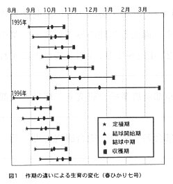 図1 作期の違いによる生育の変化