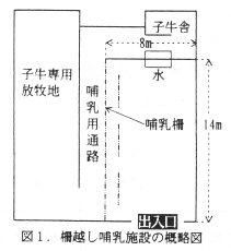 図1 柵越哺乳施設の概略図