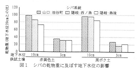 図1 芝の乾物重に及ぼす地下水位の影響