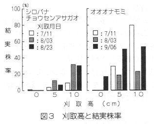 図3 刈取り高と結実株率の