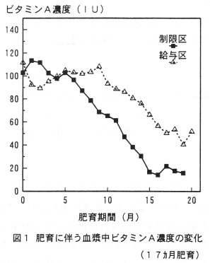 図1 肥育に伴う血漿中ビタミンA濃度の変化
