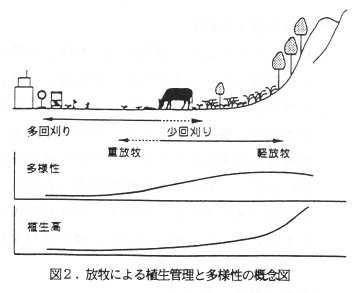 図2 放牧による植生管理と多様性の概念図