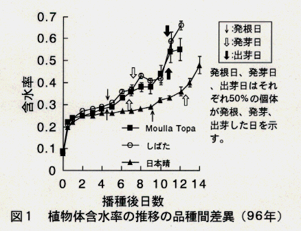図1.植物体含水率の推移の品種間差異