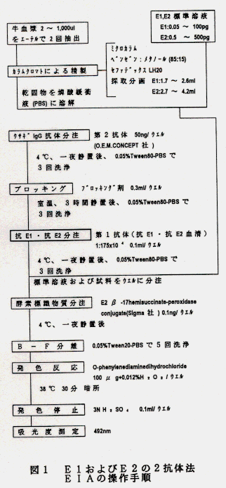 図1.E1およびE2の2抗体法EIAの操作手順