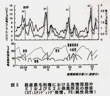 図3.経産黒毛和種における発情周期中E1およびE2と卵巣所見の推移