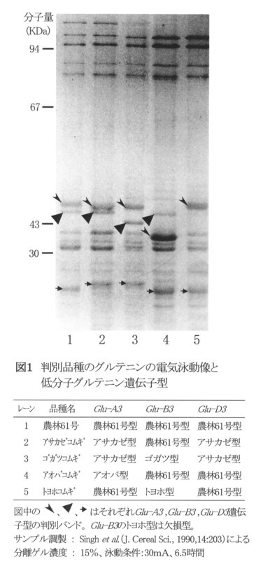 図1.