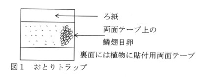 図1.おとりトラップ