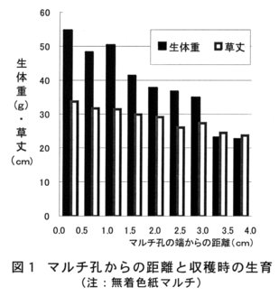 図1.マルチ孔からの距離と収穫時の生育