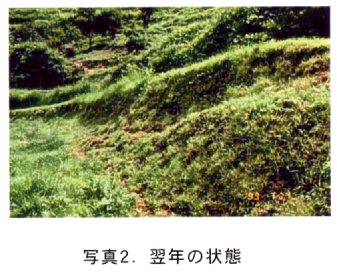 写真2.
