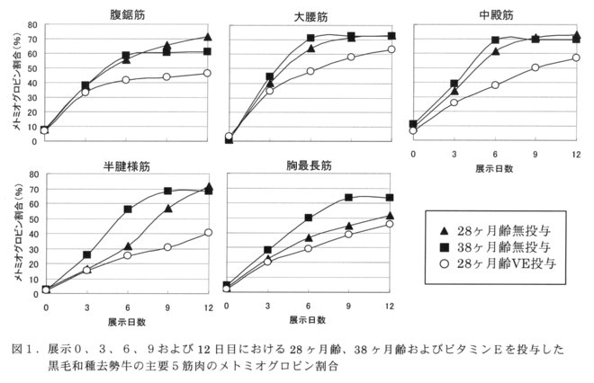 図1.展示0,3,6,9および12日目おける28ヶ月齢、38ヶ月齢およびビタミンEを投与した黒毛和種去勢牛の主要5筋肉のメトミオグロビン割合