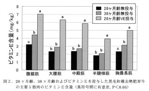 図2.28ヶ月齢、38ヶ月齢およびビタミンEを投与した黒毛和種去勢肥育牛の主要5筋肉のビタミンE含量