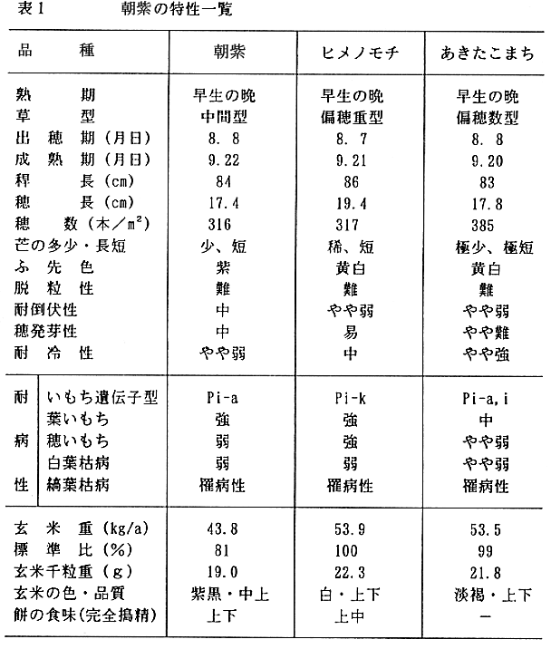 表1 朝紫の特性一覧