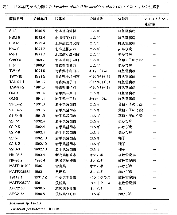 表1 日本国内から分離したFusarium nivale(Microdochium nivale)のマイコトキシン生産性