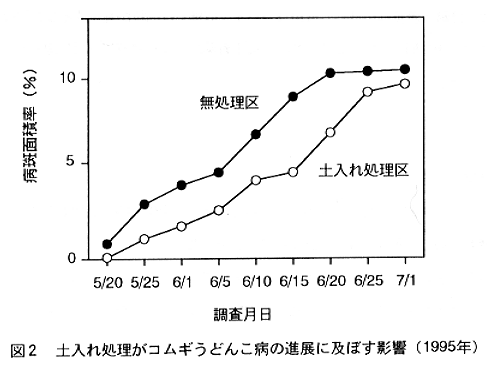 図2.土入れ処理がコムギうどんこ病の進展に及ぼす影響(1995年)