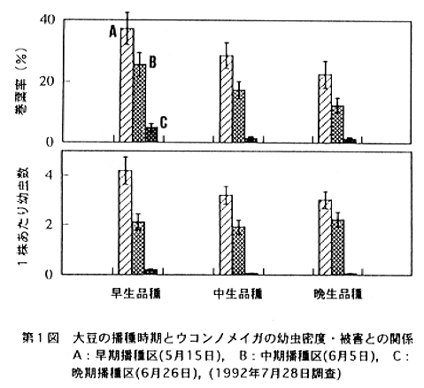 図1.大豆の播種時期とウコンノメイガの幼虫密度・被害との関係