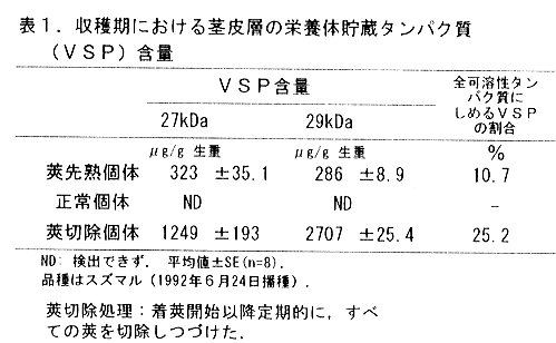 表1.収穫期における茎皮層の栄養体貯蔵タンパク質