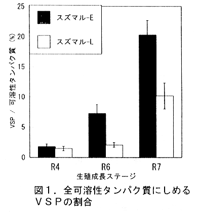 図1.全可溶性タンパク質にしめるVSPの割合