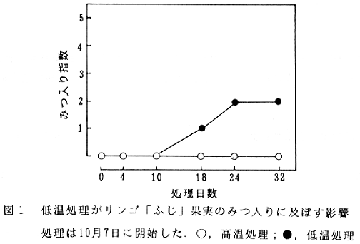 図1.低温処理がリンゴ「ふじ」果実のみつ入りに及ぼす影響